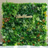 This image showcases a lush, vibrant green wall crafted by ValarFlowers. The wall is densely packed with a variety of artificial plants, featuring different shades of green foliage, including ferns and broad - leafed plants. Splashes of color come from orange, red, and white - tinged plants, adding visual interest. The overall effect is a rich, natural - looking backdrop, ideal for event decoration or as a photo - worthy feature. 