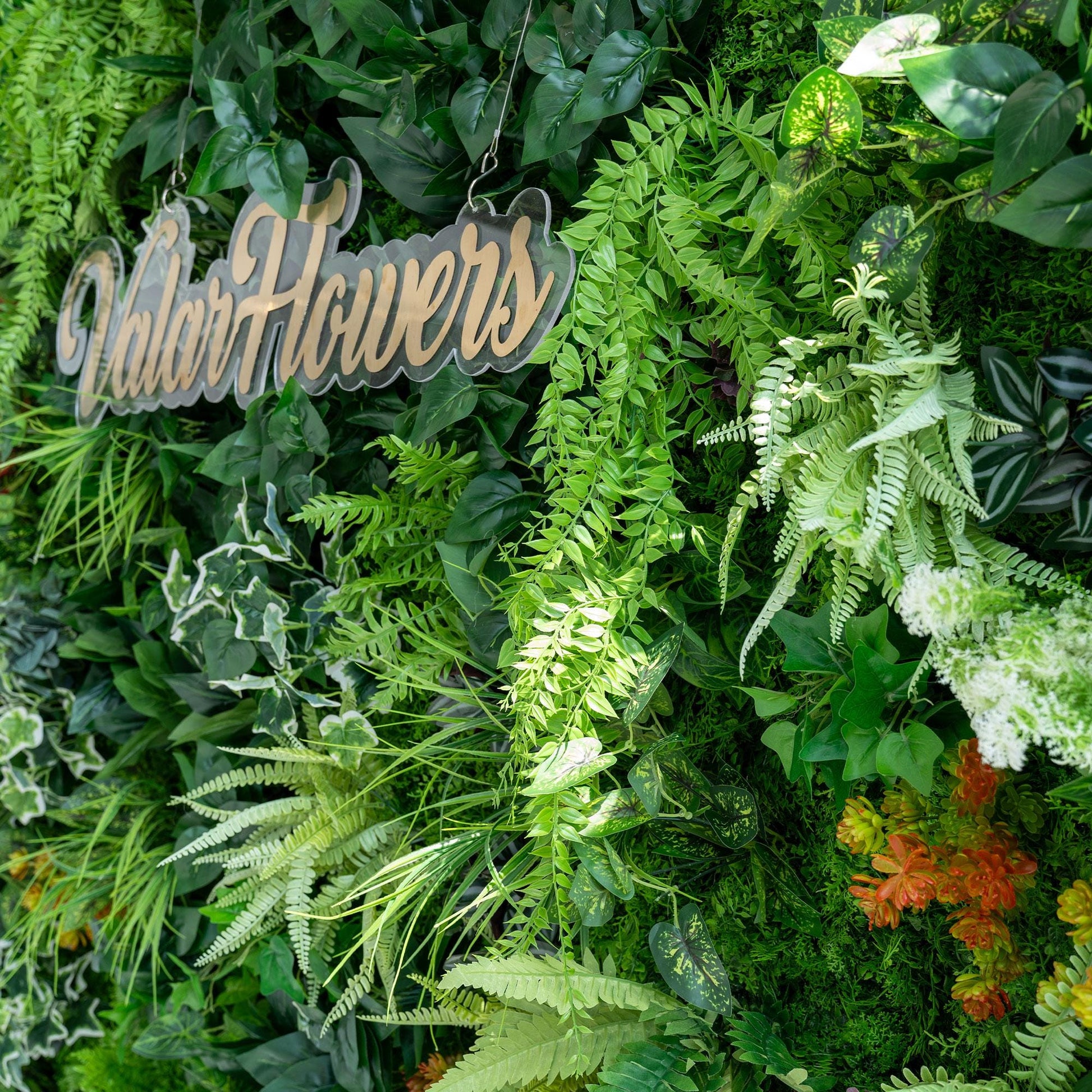 This image showcases a lush, vibrant section of a green wall by ValarFlowers. The wall is densely packed with a variety of artificial plants. Prominent are different types of ferns, including some with light - green fronds and others with darker, more textured foliage. There are also variegated leaves, such as those with white and green patterns, and splashes of orange - hued plants adding a pop of color. The overall look is rich and natural - like. 