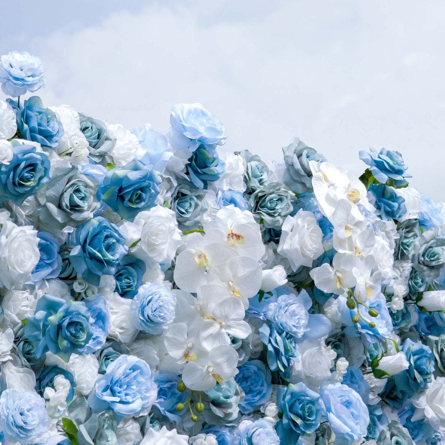 This photo showcases a lush floral arrangement featuring a mix of blue and white roses, along with white orchids. The flowers are densely packed, creating a visually striking and elegant display. The soft hues of blue and white blend seamlessly, evoking a sense of tranquility and sophistication. The blooms appear fresh and well - arranged, making this composition perfect for high - end events such as weddings or upscale galas, where a refined and serene aesthetic is desired. 