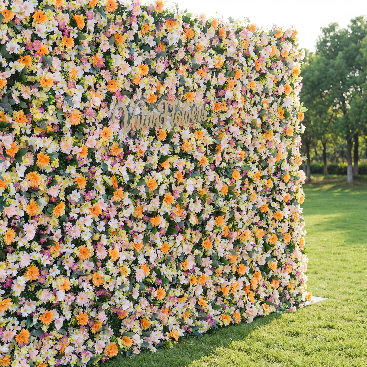 This large floral backdrop (set on sunlit grass, tree-lined background) is densely covered with soft blooms: pale pink, white, and warm orange daisy-like flowers, clustered lushly. A polished "ValarFlowers" sign (cursive, metallic) anchors the design. The pastel-and-orange palette, paired with natural greenery, evokes a cheerful, vibrant vibe—ideal for outdoor events, wedding decor, or festive photo backdrops.