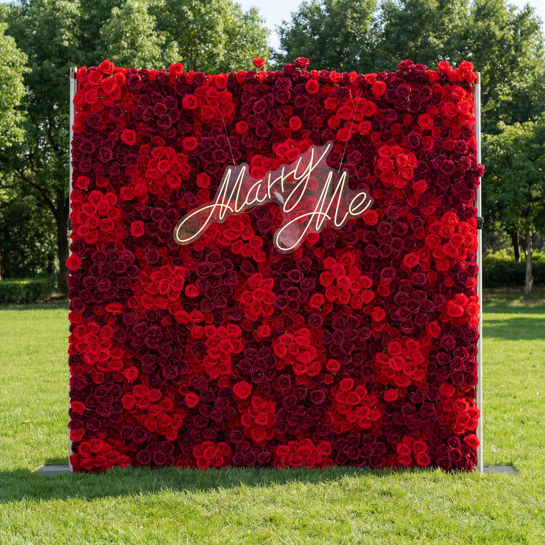 This striking backdrop (set on sunlit grass, tree-lined background) is dense with layered red roses—deep burgundy to bright crimson—creating a lush, romantic texture. A glowing "Marry Me" neon sign (cursive, light-lit) anchors the center, contrasting vividly with the rich red blooms. The bold, monochromatic palette evokes passion and elegance, making it ideal for proposal setups, romantic events, or wedding decor.