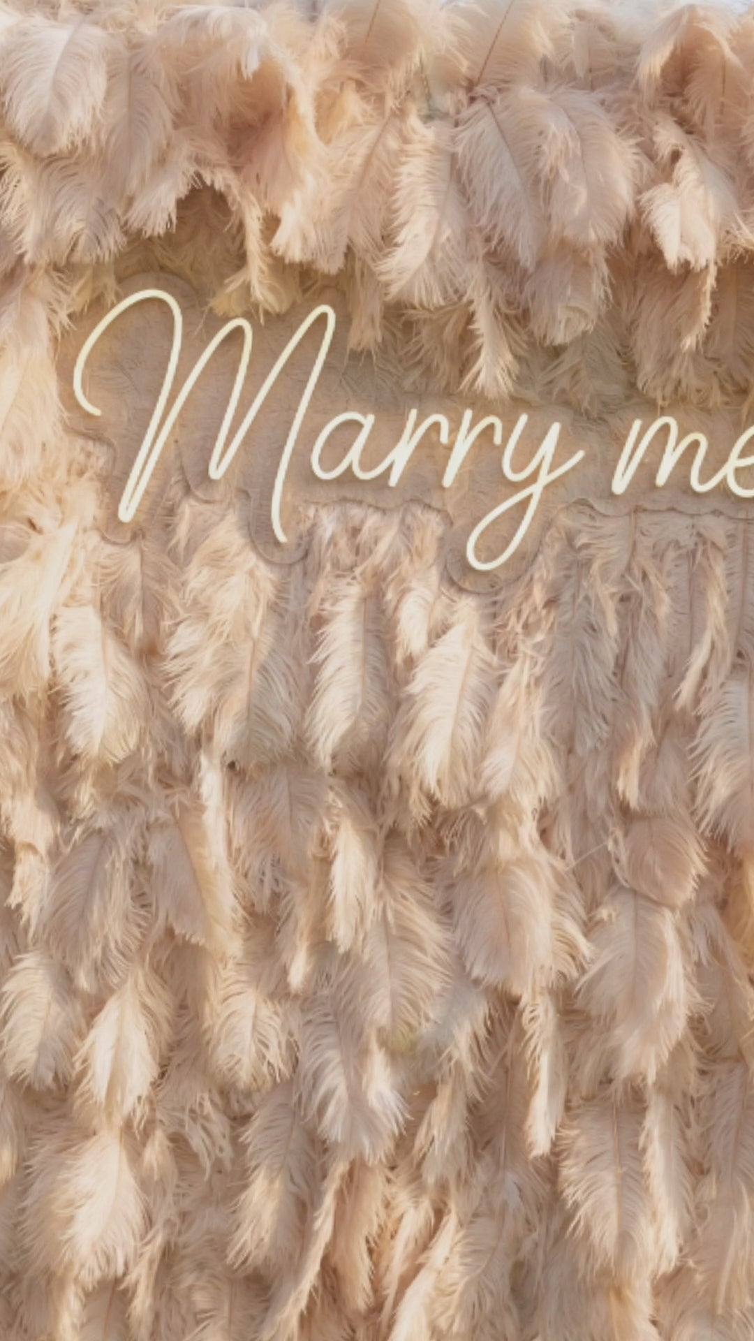 ValarFlowers Champagne Ostrich Feather Backdrop: Luxe Plume Display with 7+ Color Options &amp; Custom Services, DIY Photo Booth Decoration-VF-164-Champagne