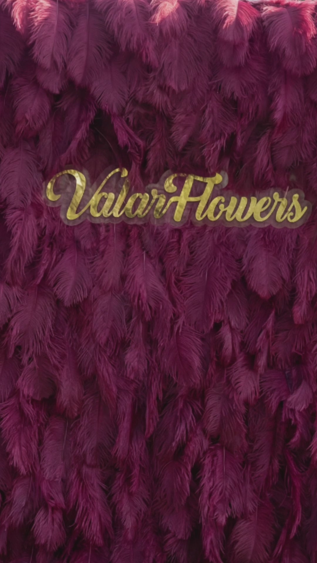ValarFlowers Burgundy Ostrich Feather Backdrop: Luxe Plume Display with 7+ Color Options &amp; Custom Services, DIY Photo Booth Decoration-VF-164-Burgundy