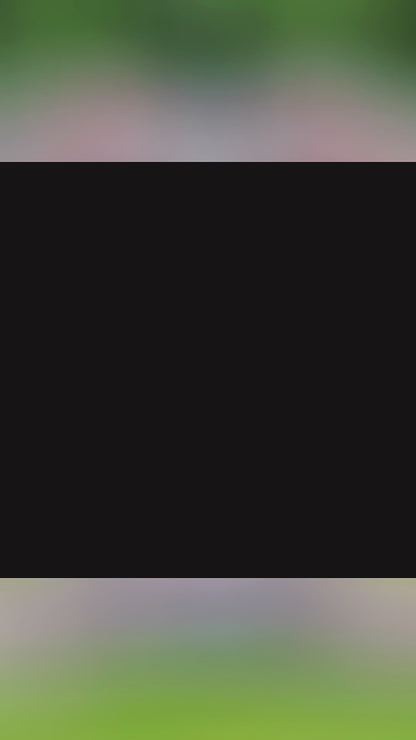 Valar Flowers ハート型ピンク＆ホワイトフローラルアーチ：ロマンチックなプロポーズ＆ウェディング背景-VA-366