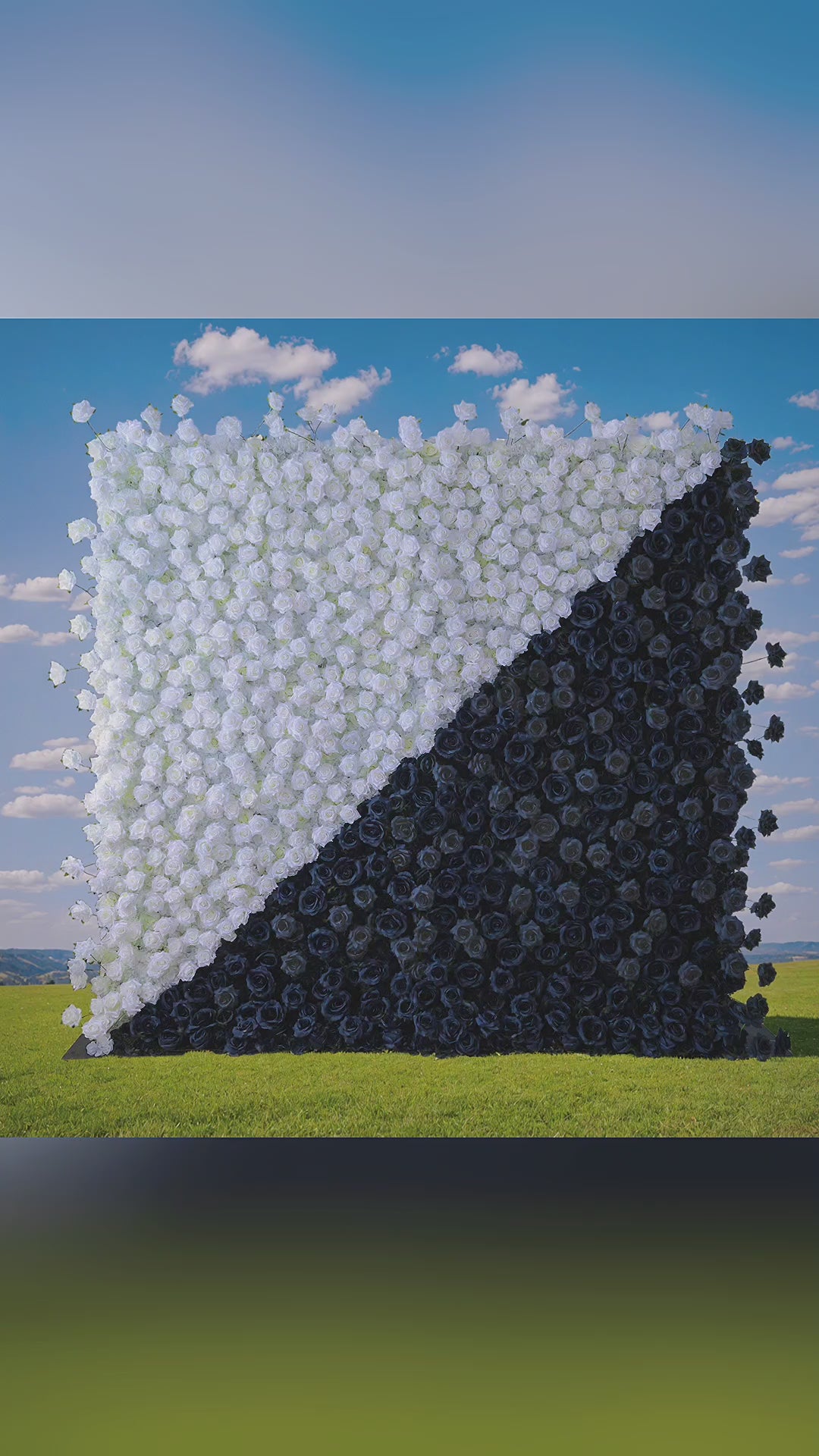 Dramatic Diagonal Split Black and White Artificial Floral Roll - Up Fabric Backdrop: A Must - Have for Prom, Graduation Party, and Event Photography - VF - 554